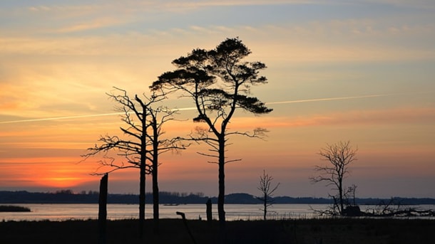 Der See Bøllingsø und der alte Heerweg mit dem Fahrrad