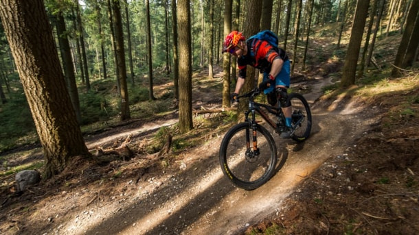 MTB-spor Vesterskoven