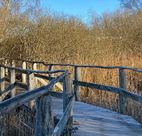 Swamp Trail - a part of the hiking tour around Svanesø