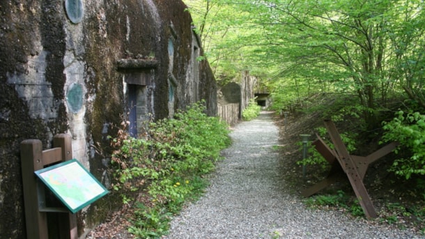 På tur i historien - på cykel rundt om Skanderborg Sø