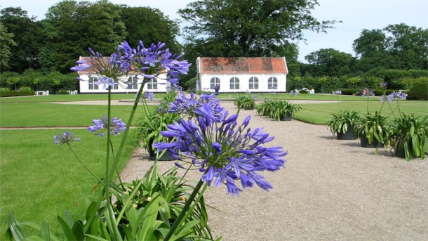 Haven på Gammel Estrup -  Danmarks Herregårdsmuseum