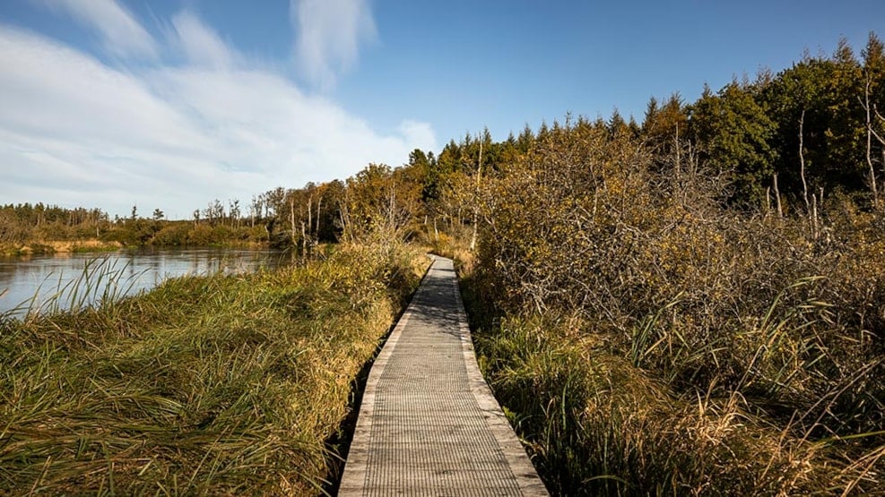 Trækstien between Silkeborg and Randers