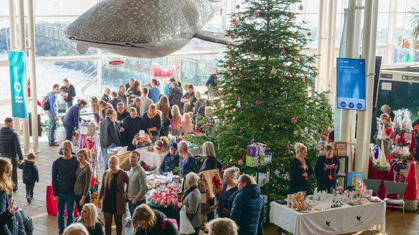 The Kattegat Centre is decorated for Christmas