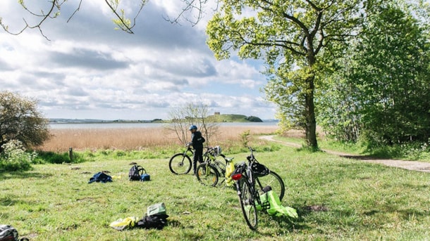 Skovturen gennem Nationalpark Mols Bjerge
