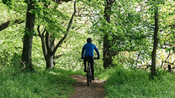 Radweg Skovturen durch den Nationalpark Mols Bjerge