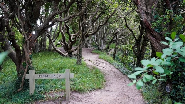 Gravlevbanen i Nationalpark Mols Bjerge