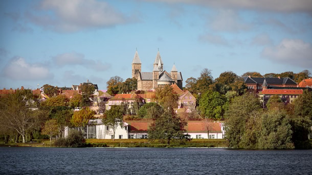 Halloween og Kulturnat i Viborg