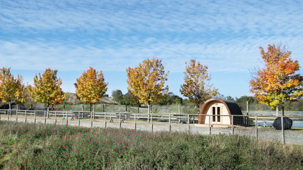 The polar bear enclosure at Scandinavian Wildlife Park on Djursland