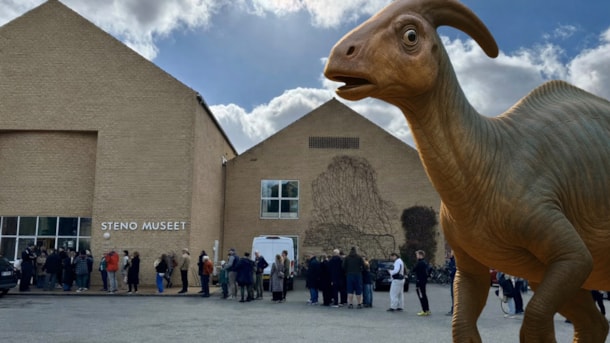 Vinterferie på Steno Museet