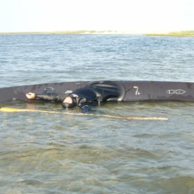 [DELETED] Sea Kayaking - at Kravlegården on Ærø 