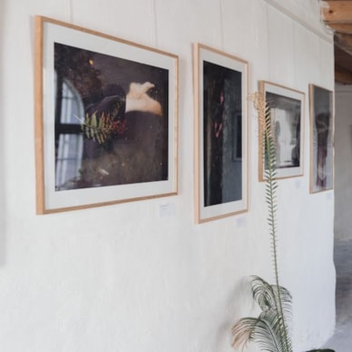 Gallery Maria Fynsk Norup