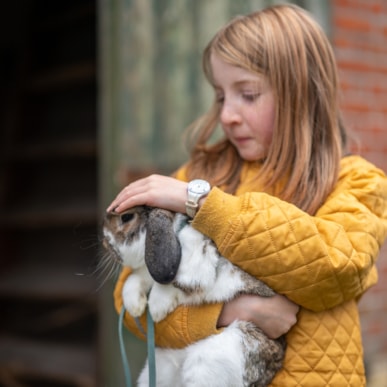 Bauernhofbesuch in der Casa Ghiorsi