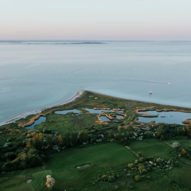 Næbbet (der Schnabel)