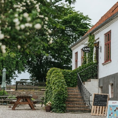 Ærø Bryggeri