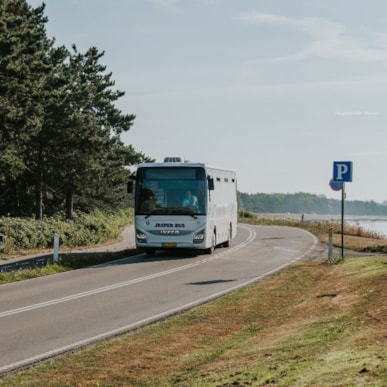 Book guidet bustur med Jesper Bus & Co.