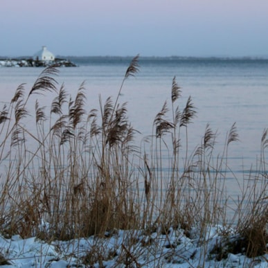 Dronningetrappen (The Queen's Staircase) in Ærøskøbing