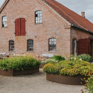 Sæbe, salt og gin - lokalt produceret på Ærø