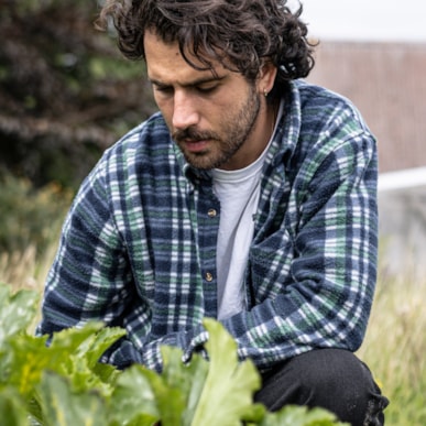 Workshop i fermentering med lokalt grønt fra Ærø