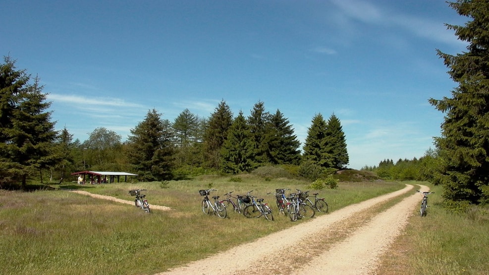 Frøslev Plantage