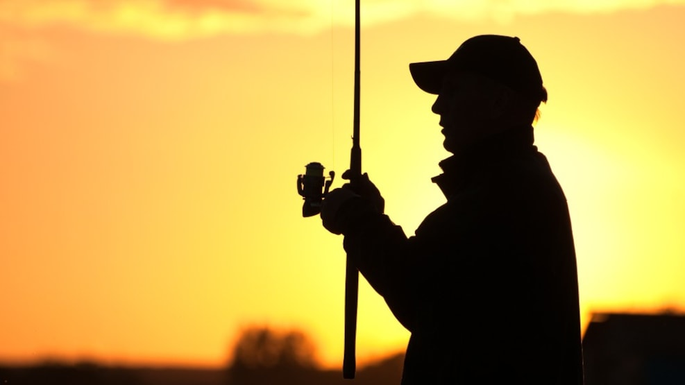 Fishing in Vestersø - Rise Skov