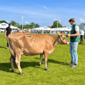 Sønderjysk Agricultural Show