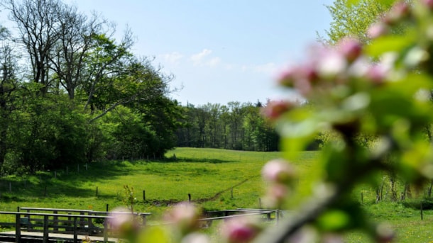 Tadre Mühle Naturcamping platz