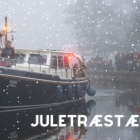 Juletræstænding i Ry