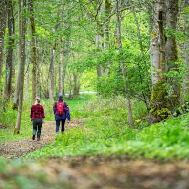 Top 7 Hiking Routes