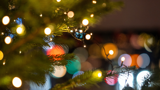 Julemarked på Sophiendal Gods