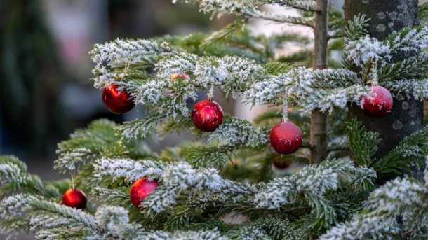 Knudsøskolens julemarked