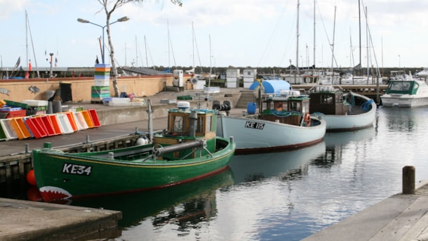 Mosede Havn