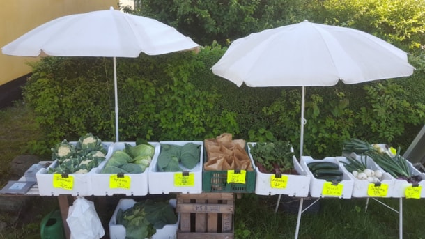 Local Farm Shop D. Riber