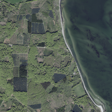 Kajbjerg Skov - Havørred Fyn Hotspot nr. 28