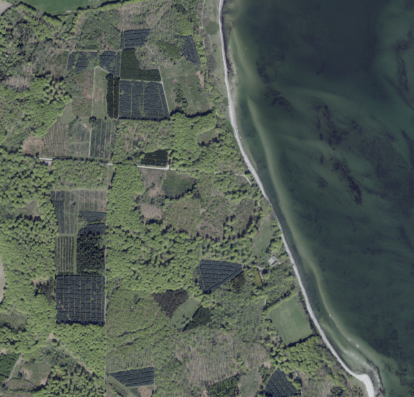 Kajbjerg Skov - Havørred Fyn Hotspot nr. 28